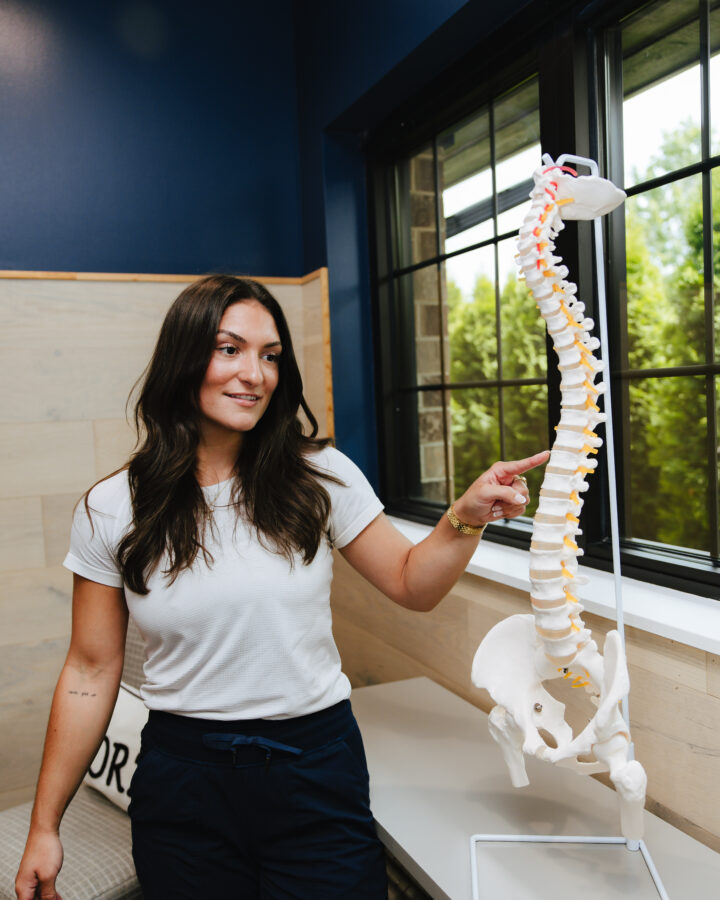 Forza Chiropractic team member holding a full spine model